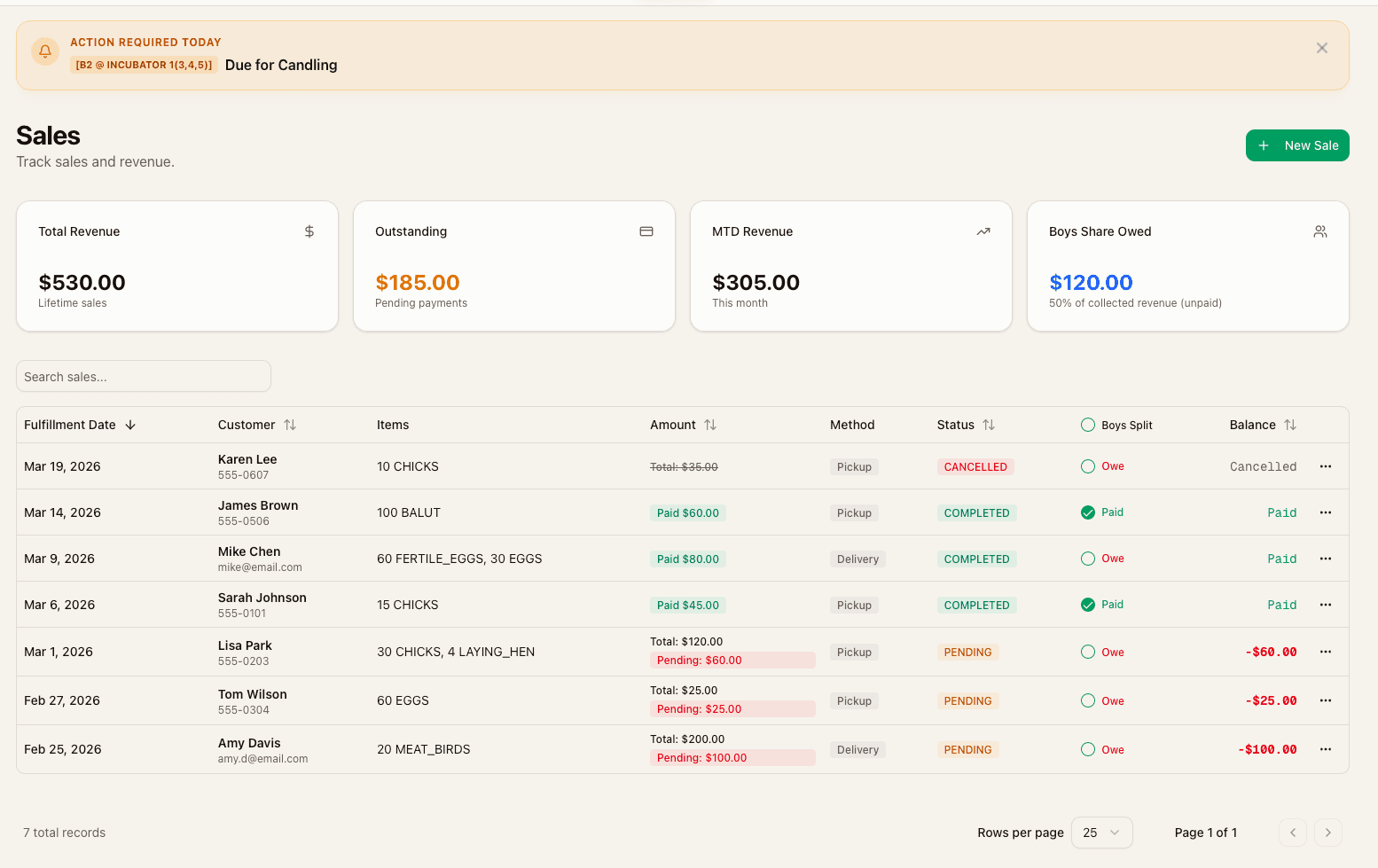 Sales dashboard showing revenue stats, sortable order table with customer names, items, payment status, and balance tracking